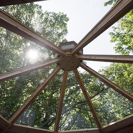 Romantic Treehouse With Hot Tub & Bbq Lodge Praze an Beeble Экстерьер фото